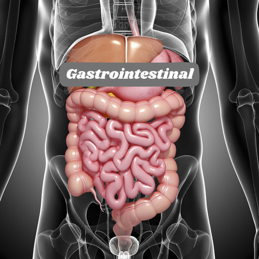 Gastrointestinal Notes - Nurses Edge®
