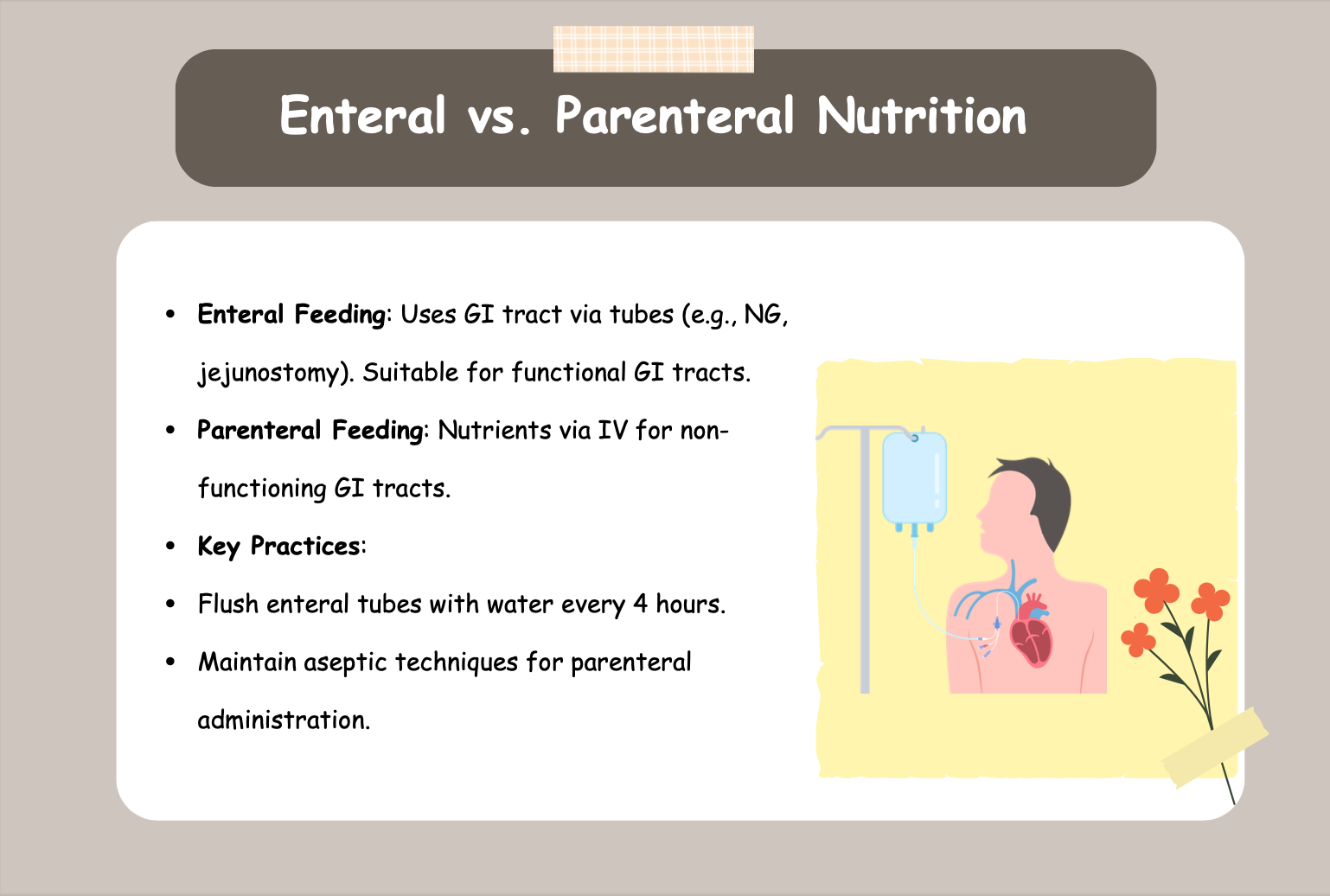 NURSING FLASHCARDS - Nurses Edge®