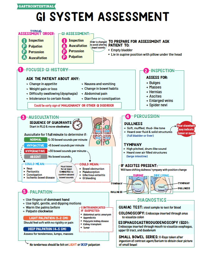 Gastrointestinal Notes - Nurses Edge®